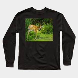 White Tailed Deer Scratching it's Nose Long Sleeve T-Shirt